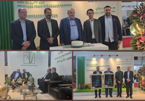 درخشش شرکت لوح سبز جنوب با برند «سبزچوب»؛