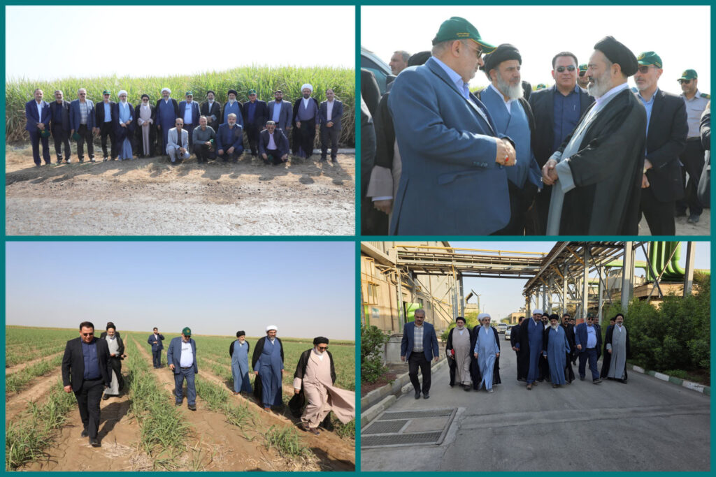 نیشکر نقش مهمی در اقتصاد و صیانت از محیط‌زیست دارد