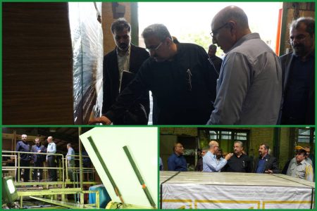 ضرورت افزایش تولید و گسترش بازار‌های صادراتی‌ ام‌دی‌اف تولیدی از باگاس نیشکر