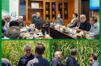 توانمندسازی کسبوکارهای روستایی همجوار نیشکر/توسعه پایدار نیشکر با مشارکت جوامع محلی محقق میشود توانمندسازی کسبوکارهای روستایی همجوار نیشکر/توسعه پایدار نیشکر با مشارکت جوامع محلی محقق میشود