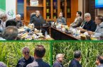 تأکید مدیرعامل توسعه نیشکر و صنایع جانبی خوزستان بر بازدیدهای میدانی و بهره‌گیری از توان دانشگاهی