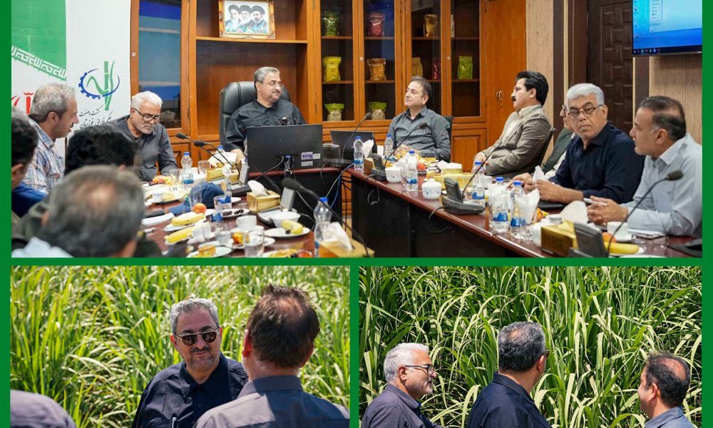 تأکید مدیرعامل توسعه نیشکر و صنایع جانبی خوزستان بر بازدیدهای میدانی و بهرهگیری از توان دانشگاهی